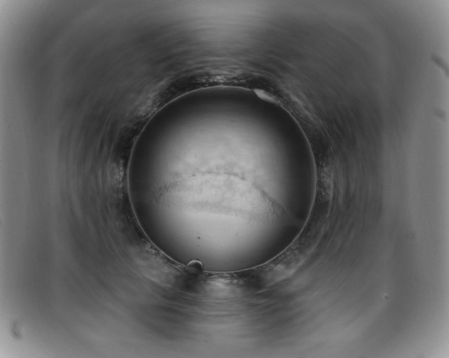 X0000096680657200802051247
