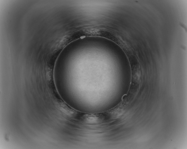 X0000096680658200802051247