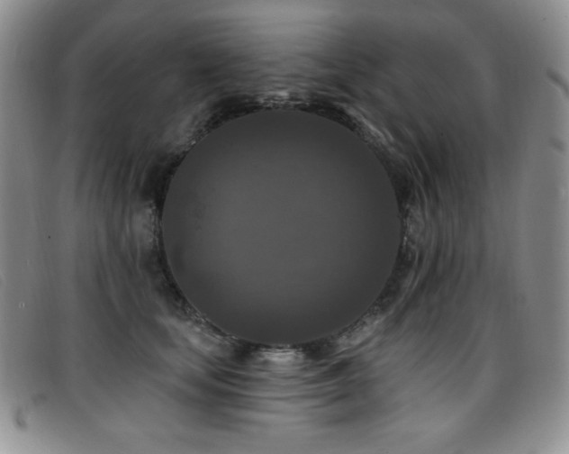 X0000096680659200802051247
