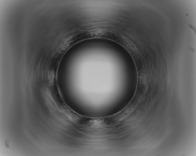 X0000096680660200802051247