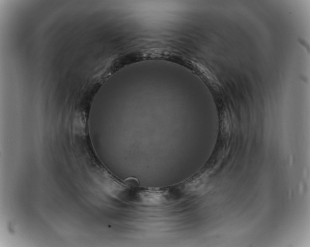 X0000096680661200802051247