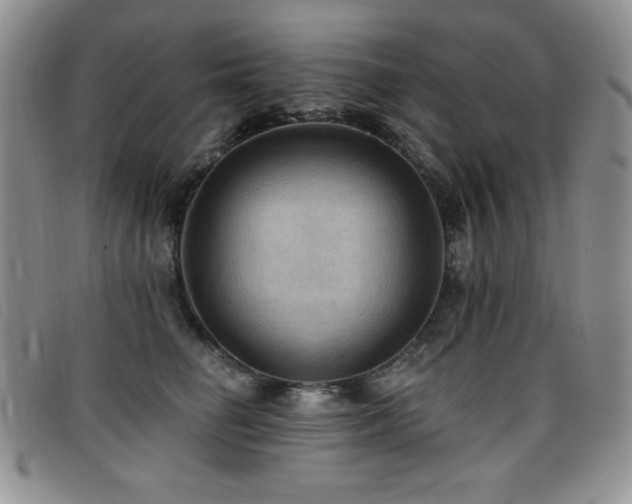 X0000096680662200802051247