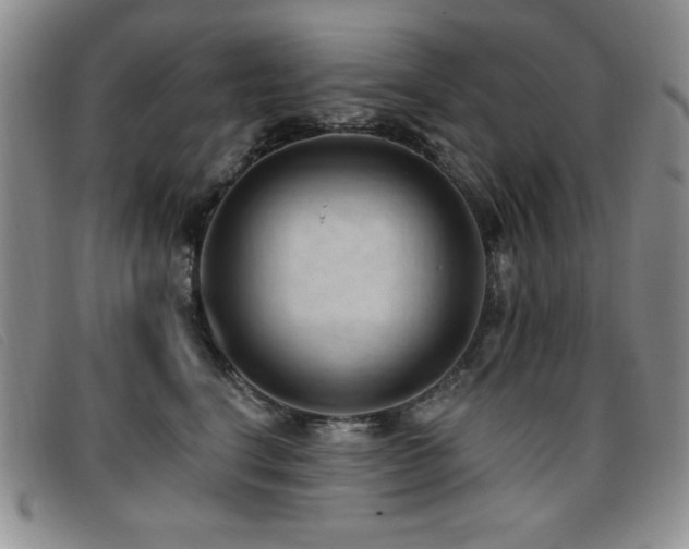 X0000096680664200802051247