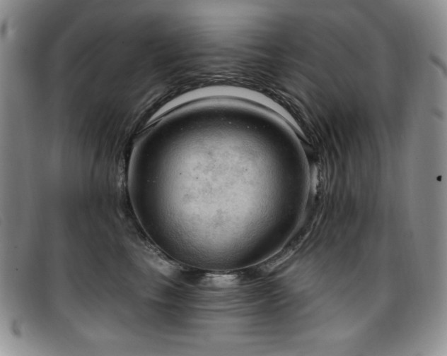 X0000096680665200802051247