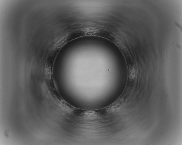 X0000096680666200802051247