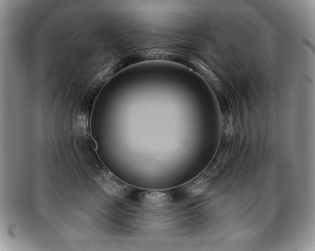 X0000096680669200802051247