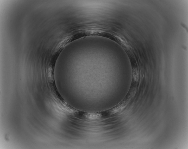 X0000096680670200802051247