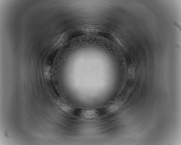 X0000096680671200802051247