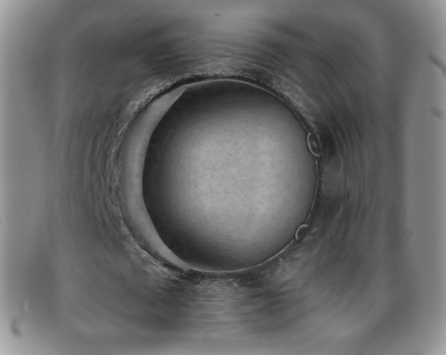 X0000096680673200802051246