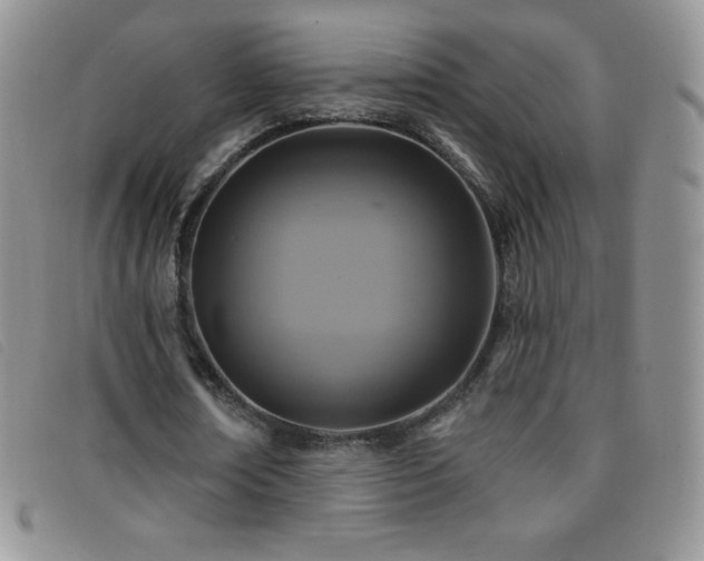 X0000096680674200802051246