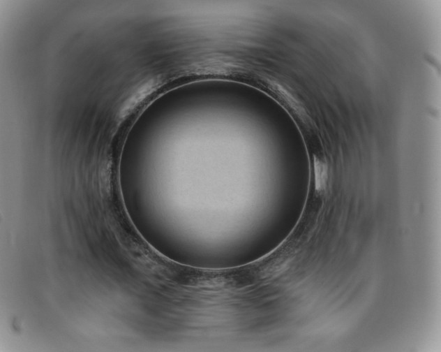 X0000096680675200802051246