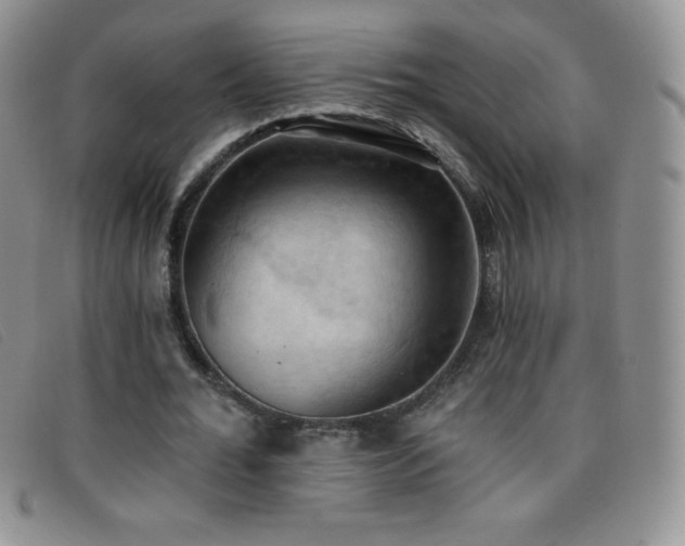X0000096680676200802051246