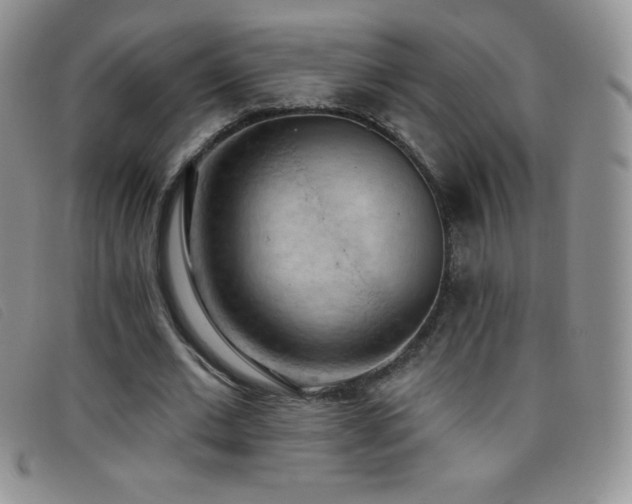 X0000096680677200802051246