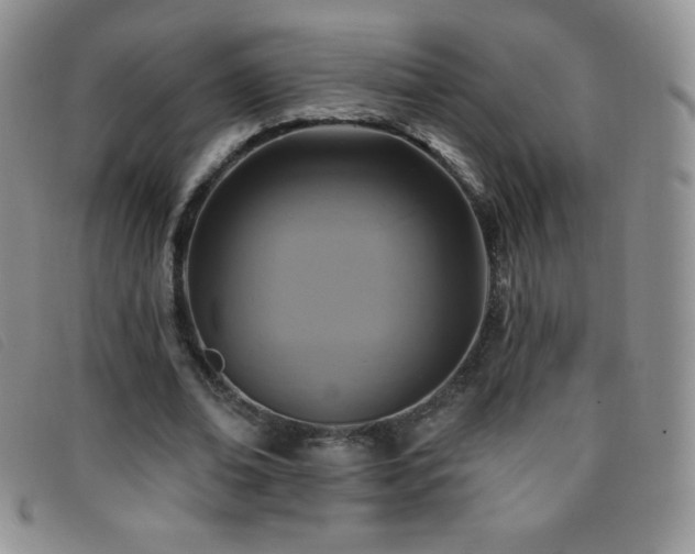 X0000096680678200802051246