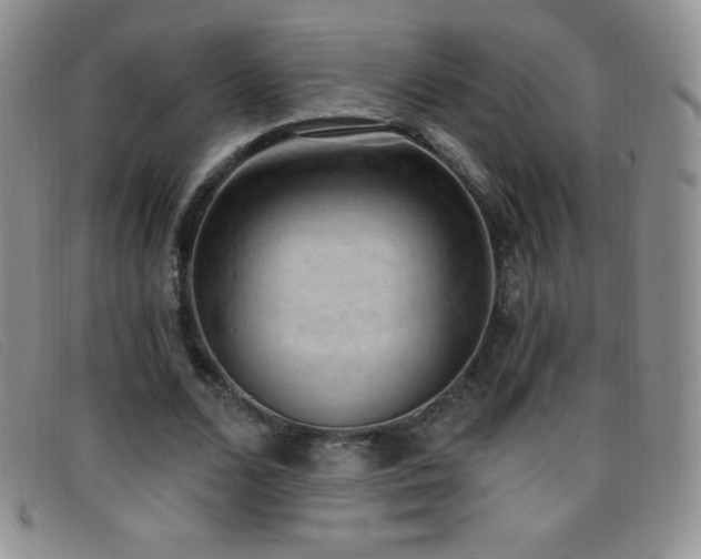 X0000096680680200802051246