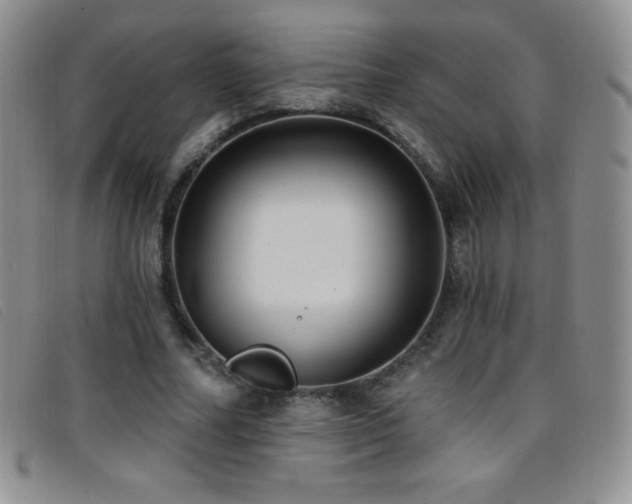 X0000096680682200802051246