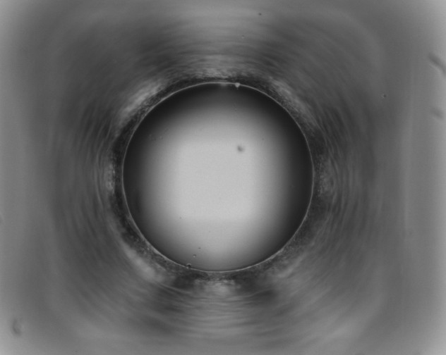 X0000096680683200802051246