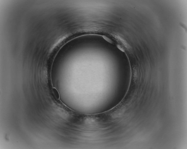 X0000096680684200802051246