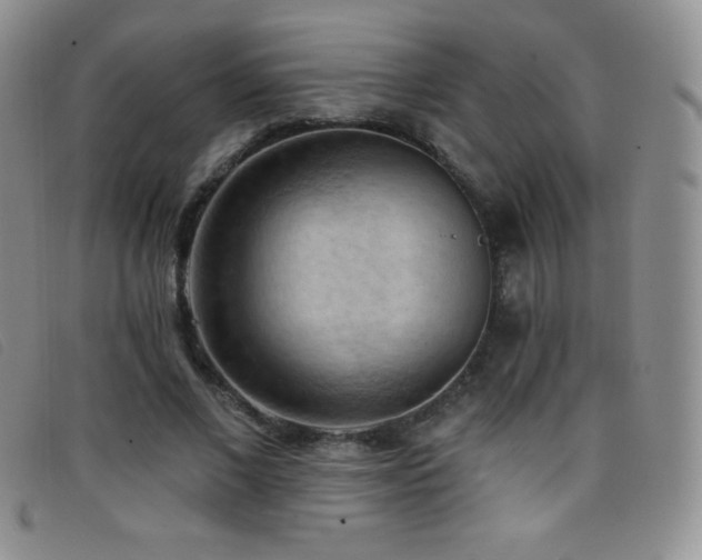 X0000096680685200802051246