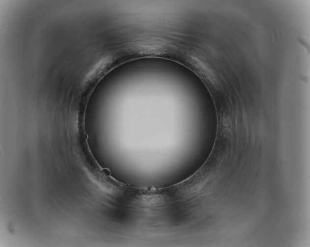 X0000096680686200802051246