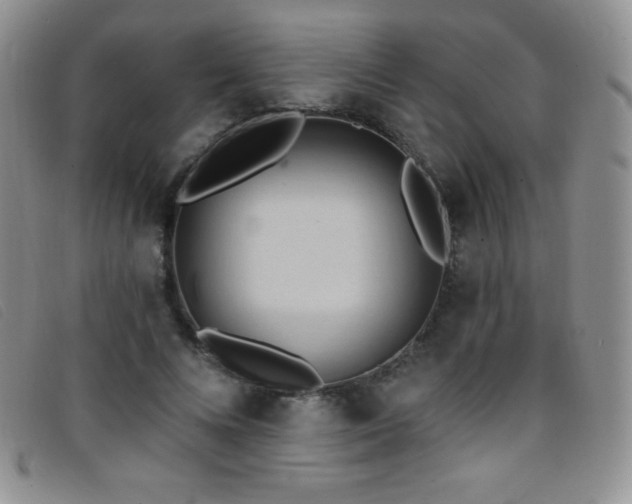 X0000096680688200802051246