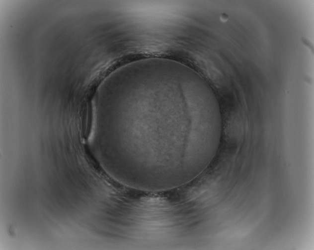 X0000096680689200802051246