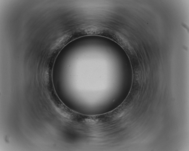X0000096680690200802051246