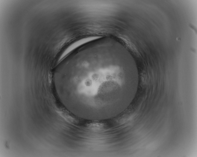 X0000096680691200802051246