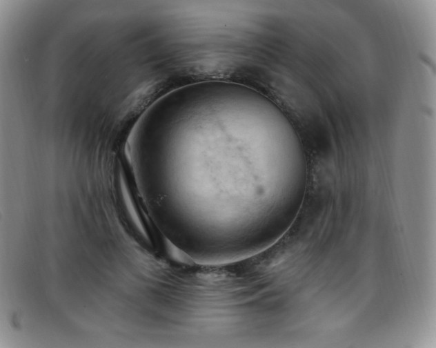X0000096680693200802051246