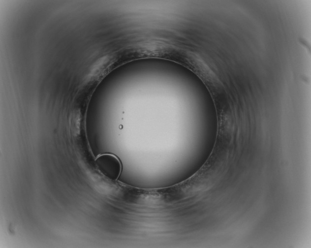 X0000096680694200802051246