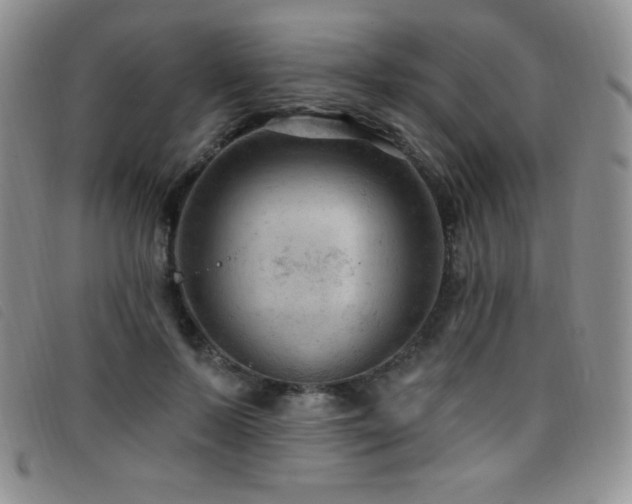 X0000096680695200802051246