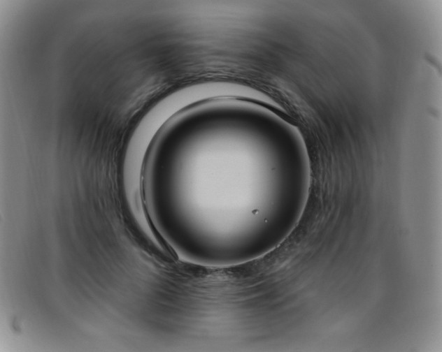 X0000096680696200802051246