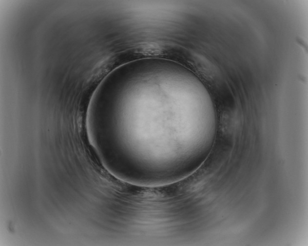 X0000096680697200802051246