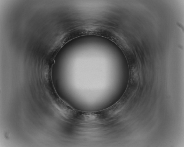 X0000096680698200802051246