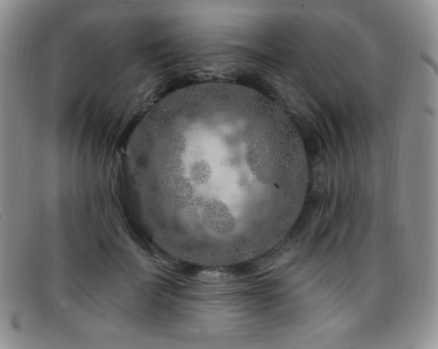 X0000096680699200802051246