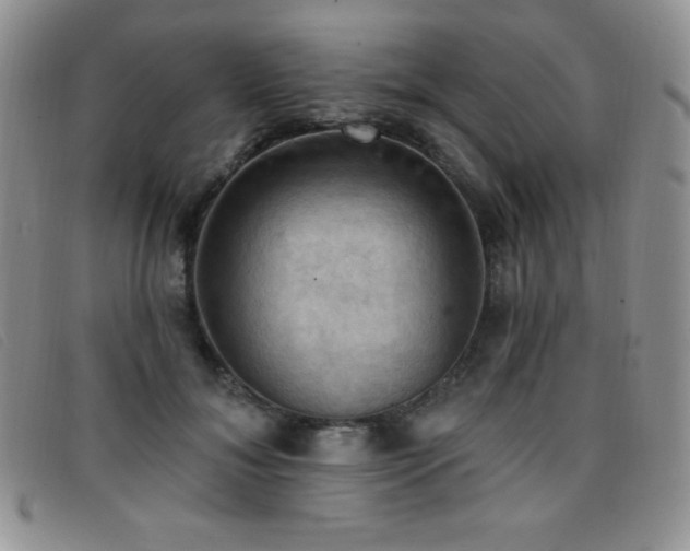 X0000096680700200802051246