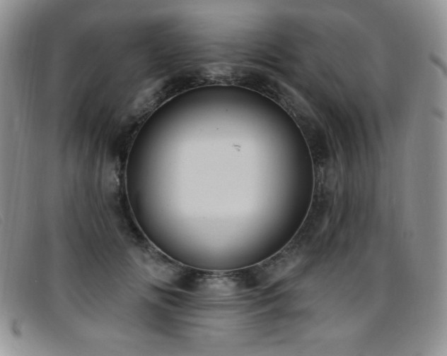 X0000096680702200802051246