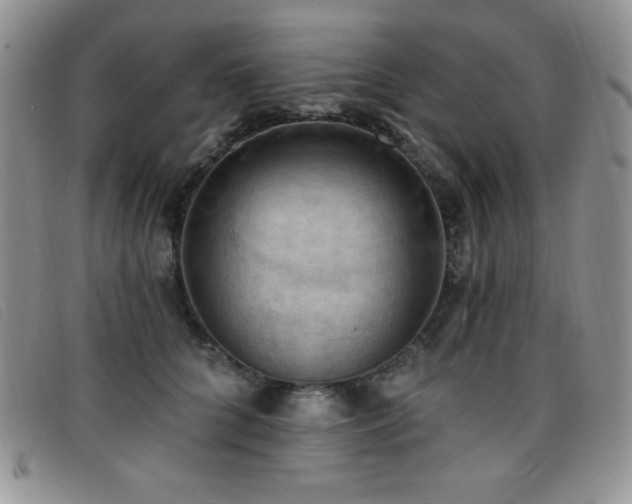 X0000096680704200802051246