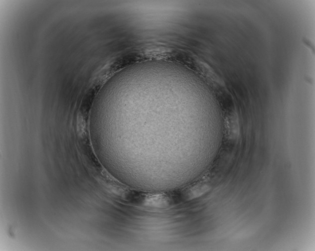 X0000096680705200802051246