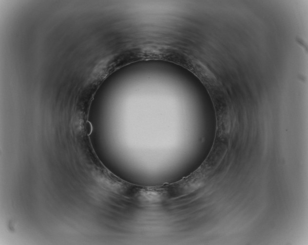 X0000096680706200802051246