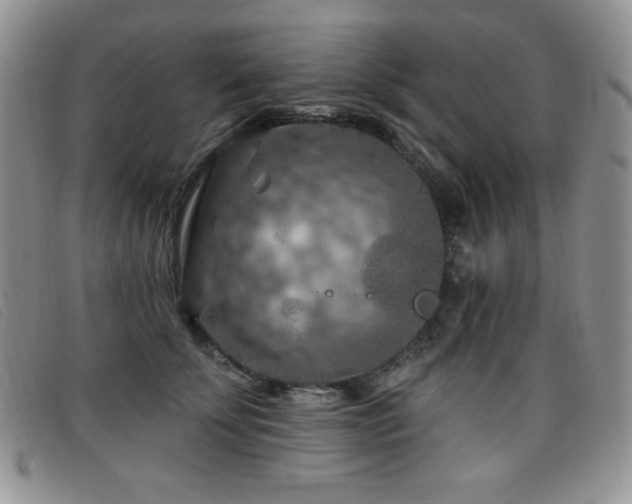 X0000096680707200802051246