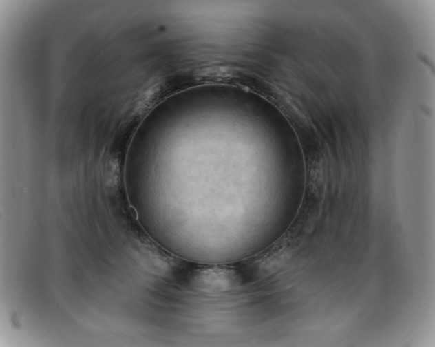 X0000096680708200802051246