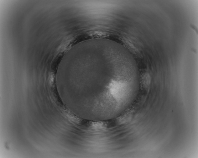 X0000096680709200802051246