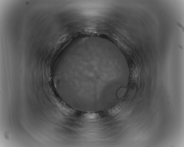 X0000096680711200802051246