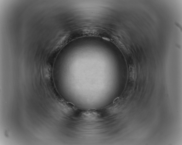 X0000096680712200802051246