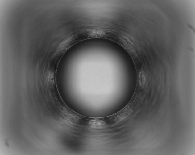 X0000096680714200802051246