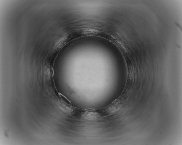 X0000096680716200802051246