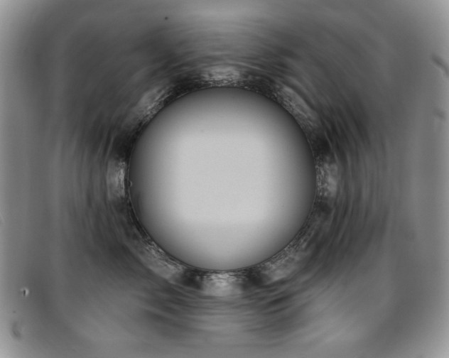 X0000096680717200802051246