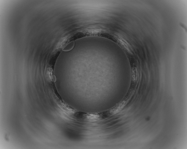 X0000096680718200802051246