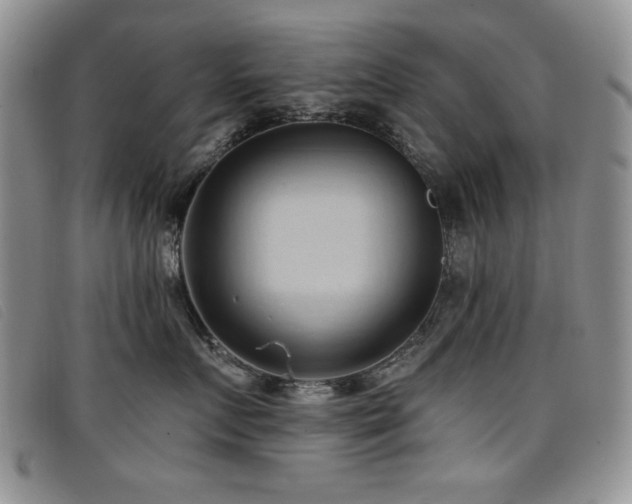 X0000096680719200802051246